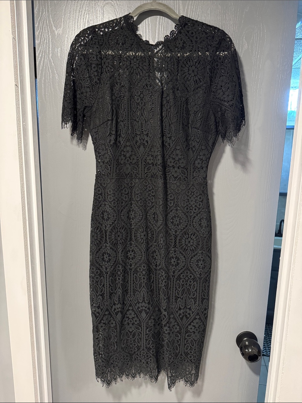 Lulu's Black Sheer Lace Short Sleeve Mini Dress